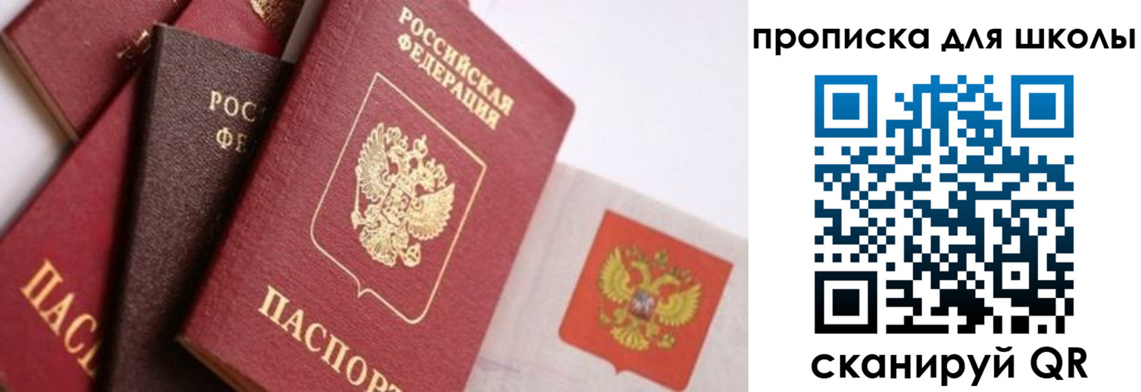 прописка поиск в Светлом